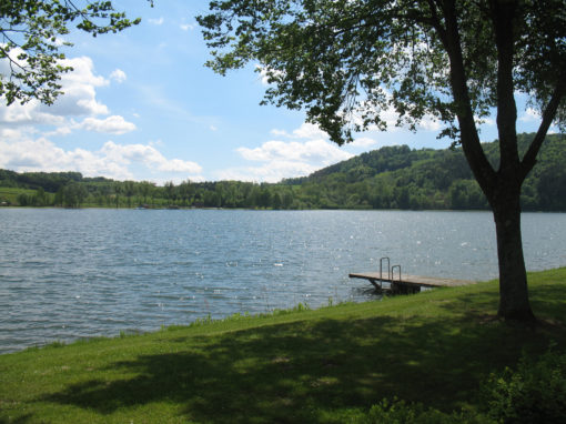 Stubenbergsee im Frühling