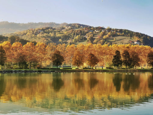 Stubenbergsee im Herbst (c) Martin Grabmayer