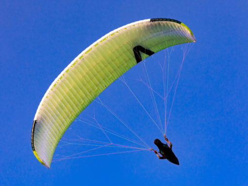 Paragleiter am Stubenbergsee (c) Harry Schiffer