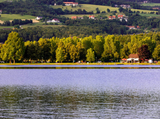 Herbst am Stubenbergsee (c) Harry Schiffer