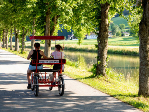 Tretmobil am Stubenbergsee (c) Harry Schiffer