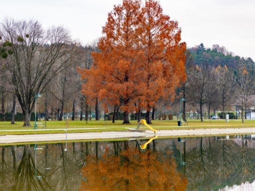 Herbstlicher Stubenbergsee (c) Harry Schiffer Photodesign
