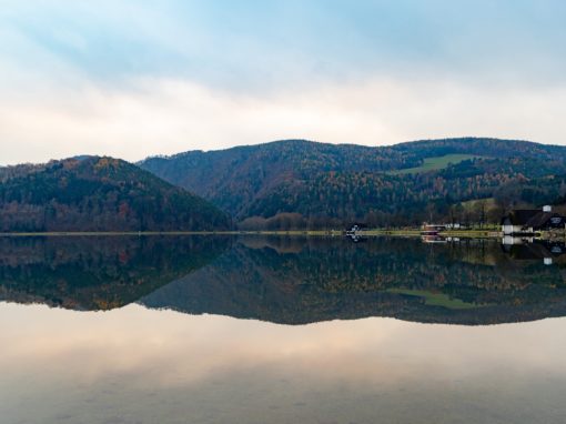 Herbstlicher Stubenbergsee (c) Harry Schiffer Photodesign